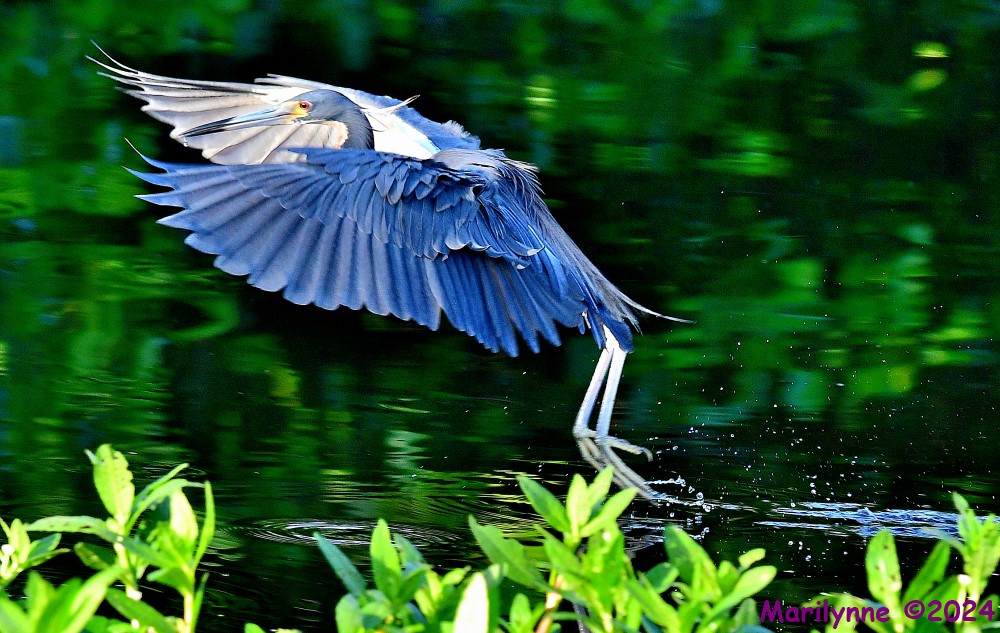 DSC_7150_001.JPG