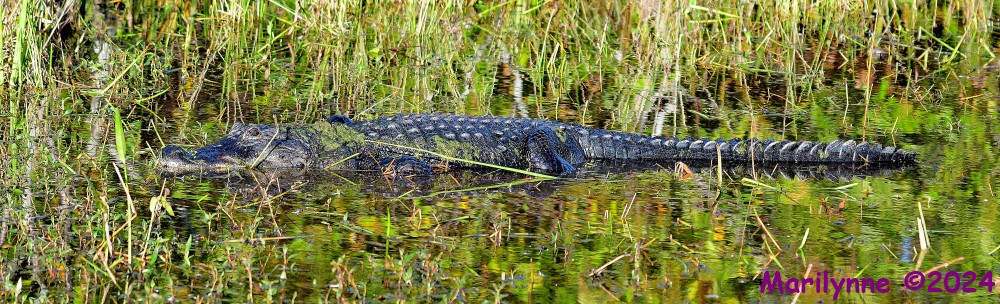 DSC_7153_stitch3_001.JPG