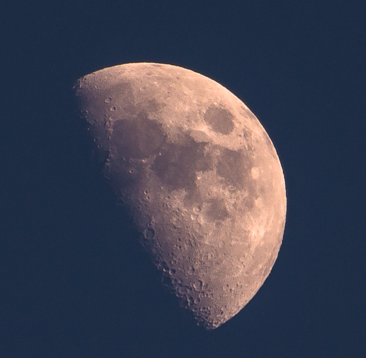 DSC_7156.jpg