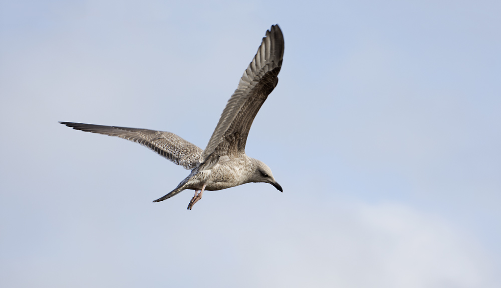 DSC_7157.jpg