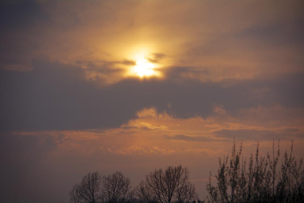 DSC_7157.jpg