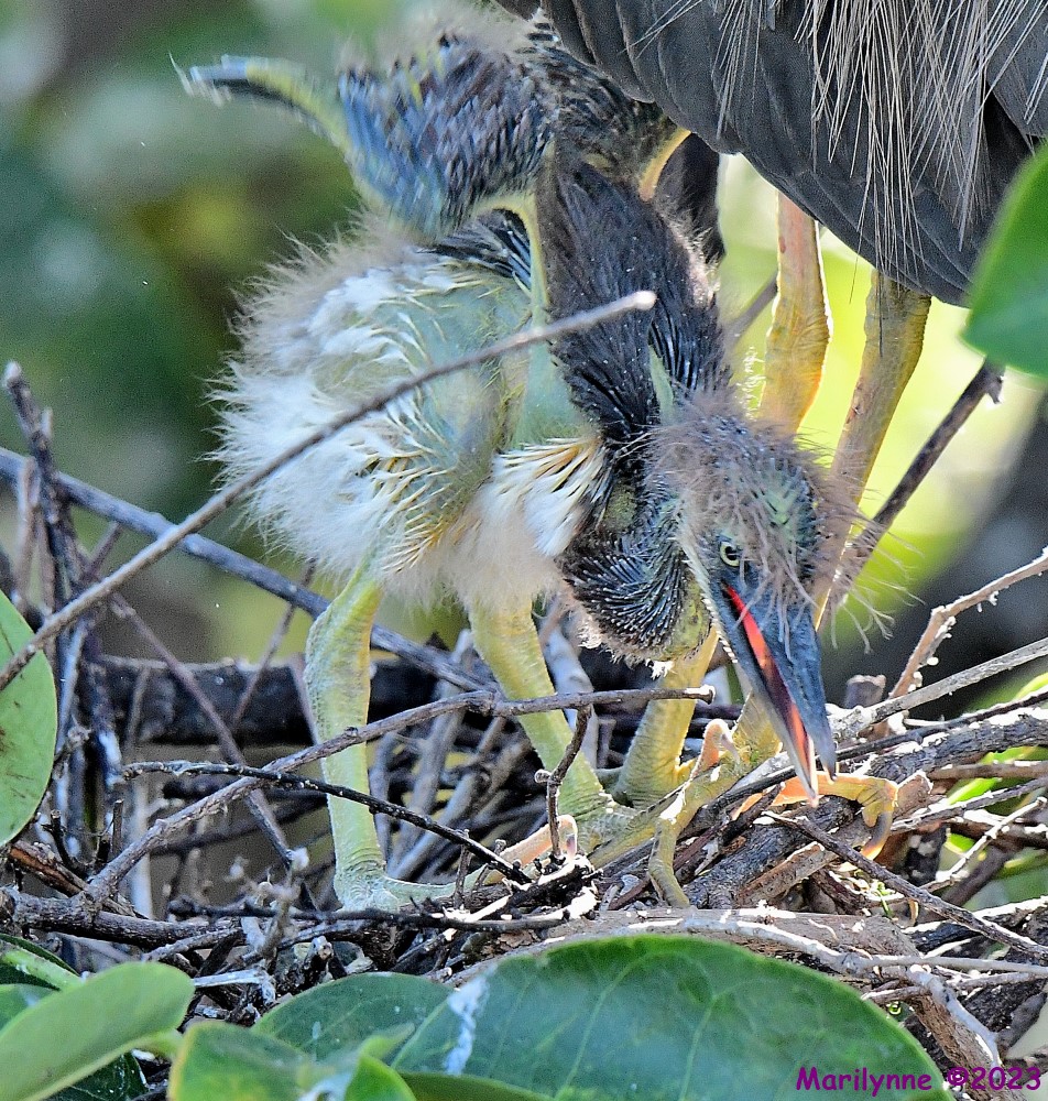 DSC_7160_001.JPG