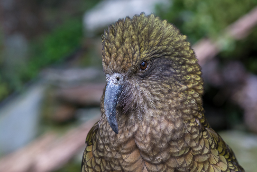 DSC_7161.jpg
