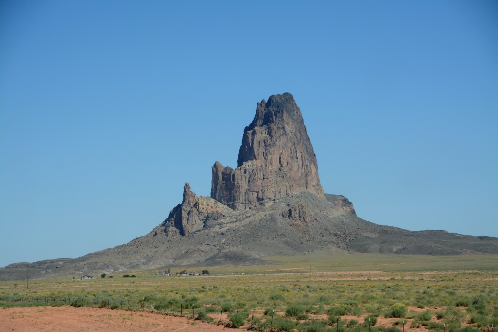 DSC_7168.JPG