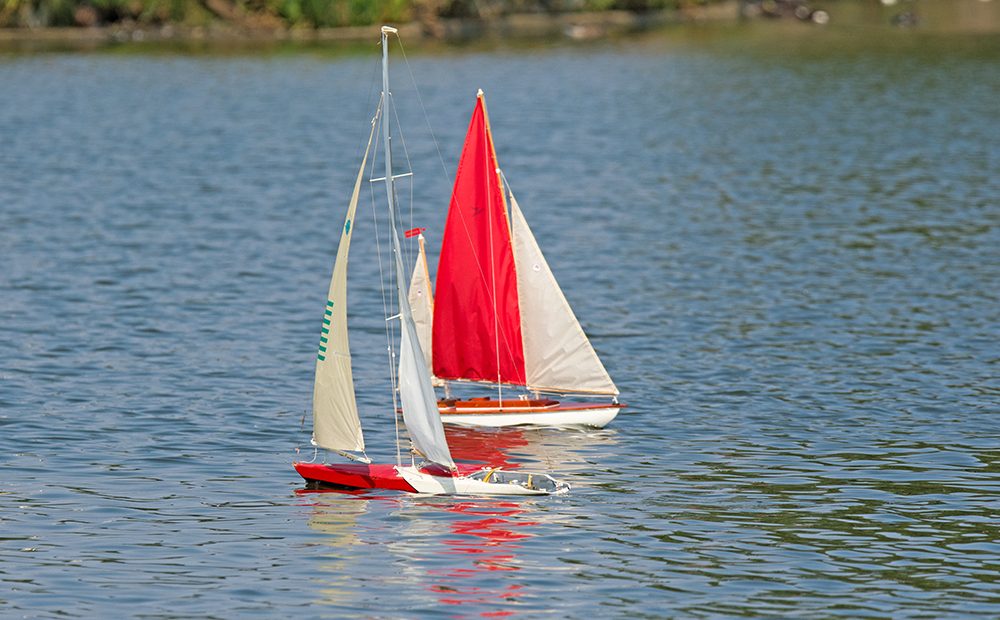 DSC_7174.jpg