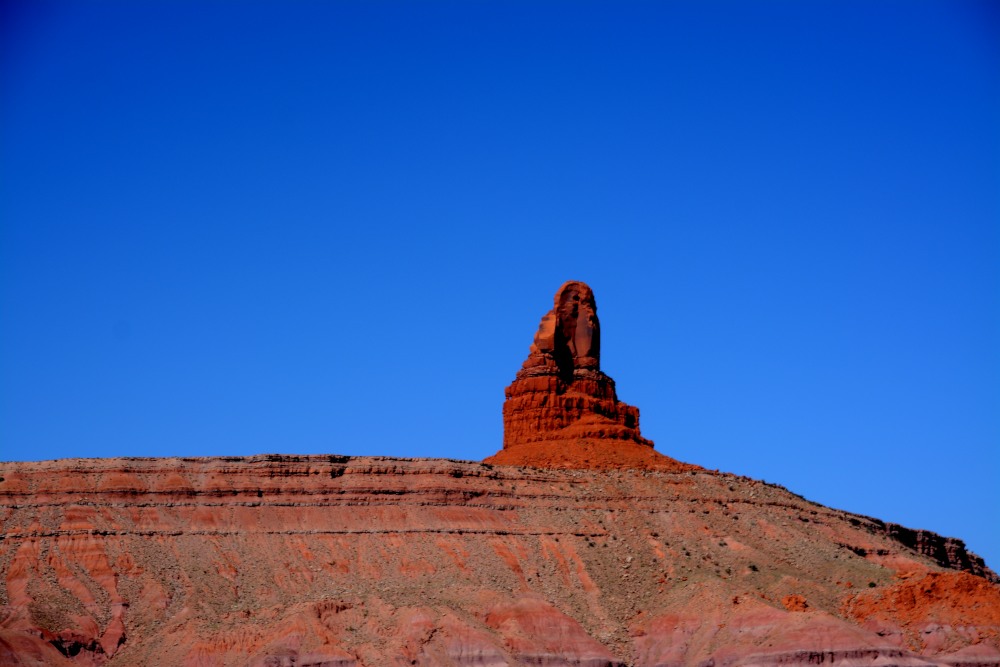 DSC_7175.JPG