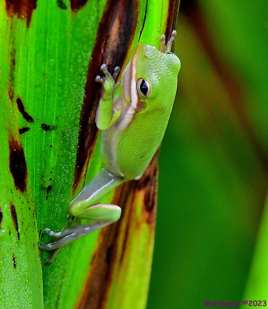 DSC_7180_001.JPG