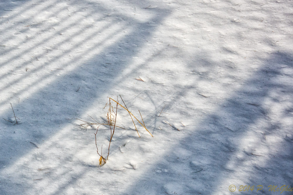 DSC_7192-Edit.jpg