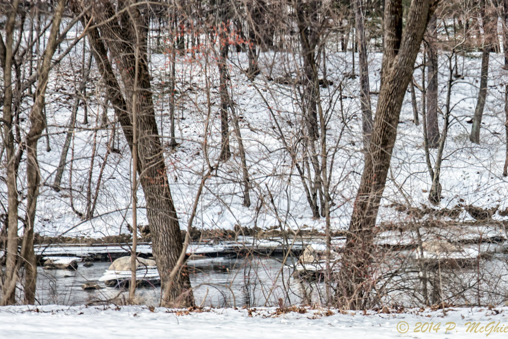 DSC_7193-Edit.jpg
