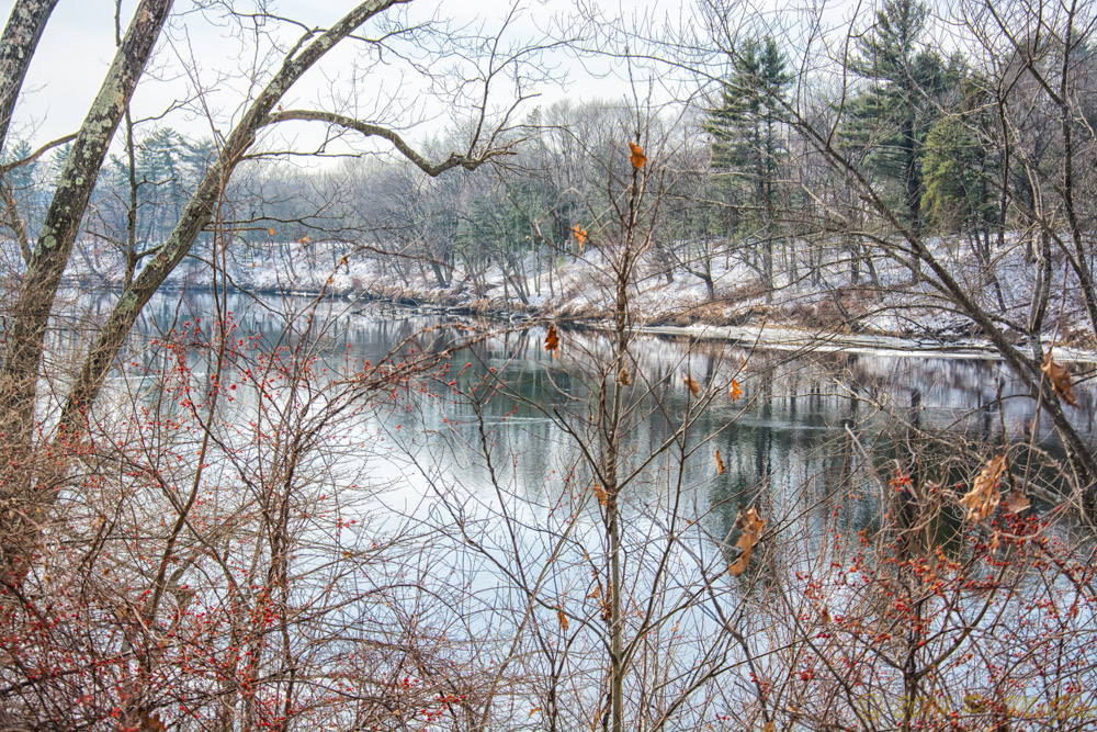 DSC_7195-Edit.jpg