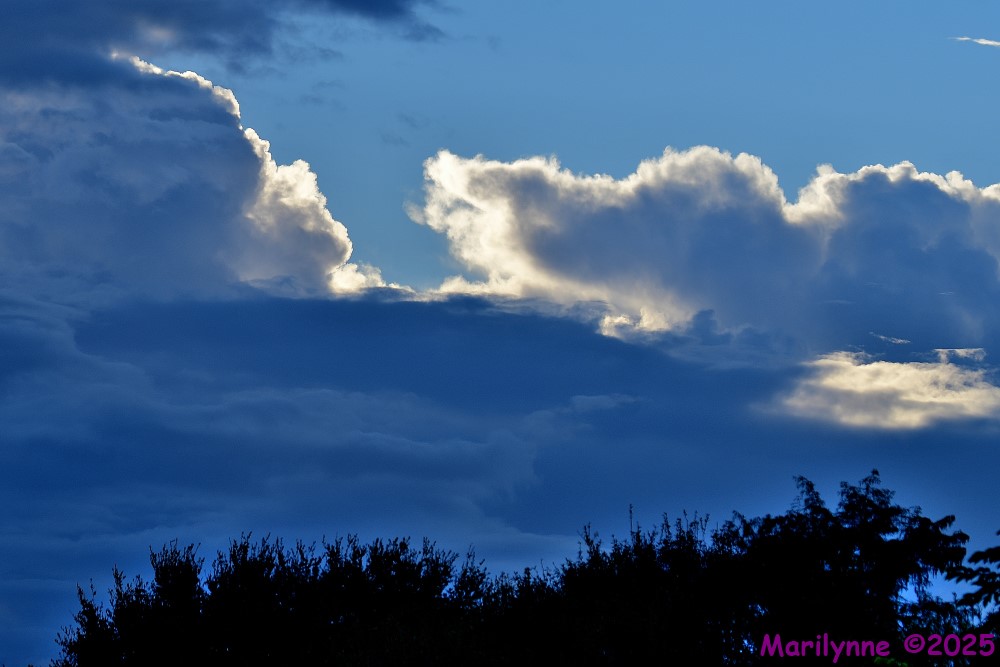 DSC_7196_001.JPG
