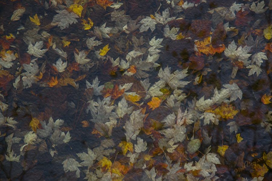 DSC_7197.jpg