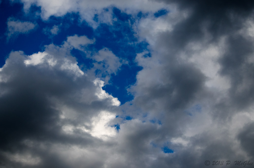 DSC_7198.jpg