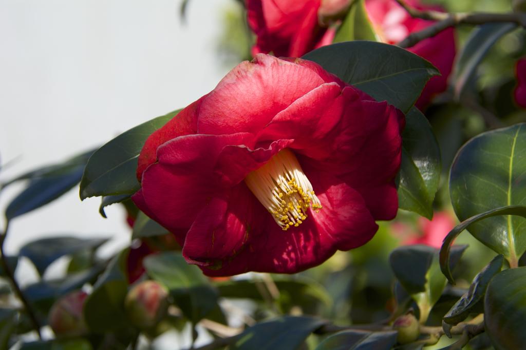 DSC_7199.jpg