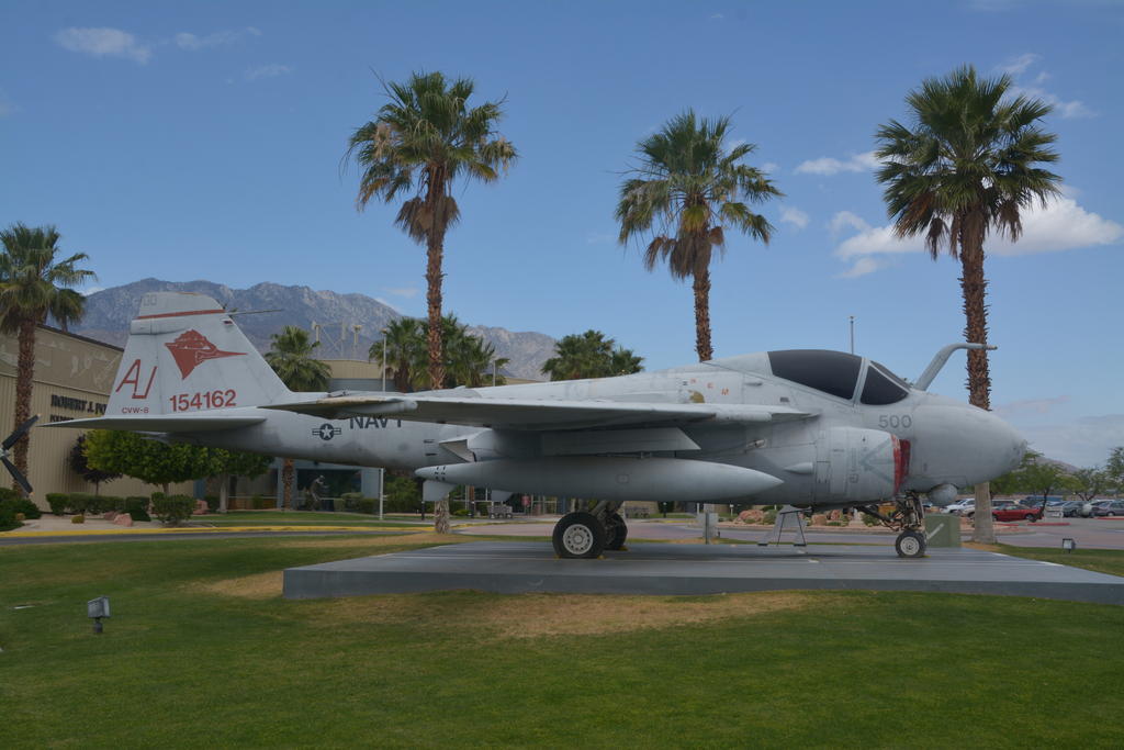 DSC_7208.jpg