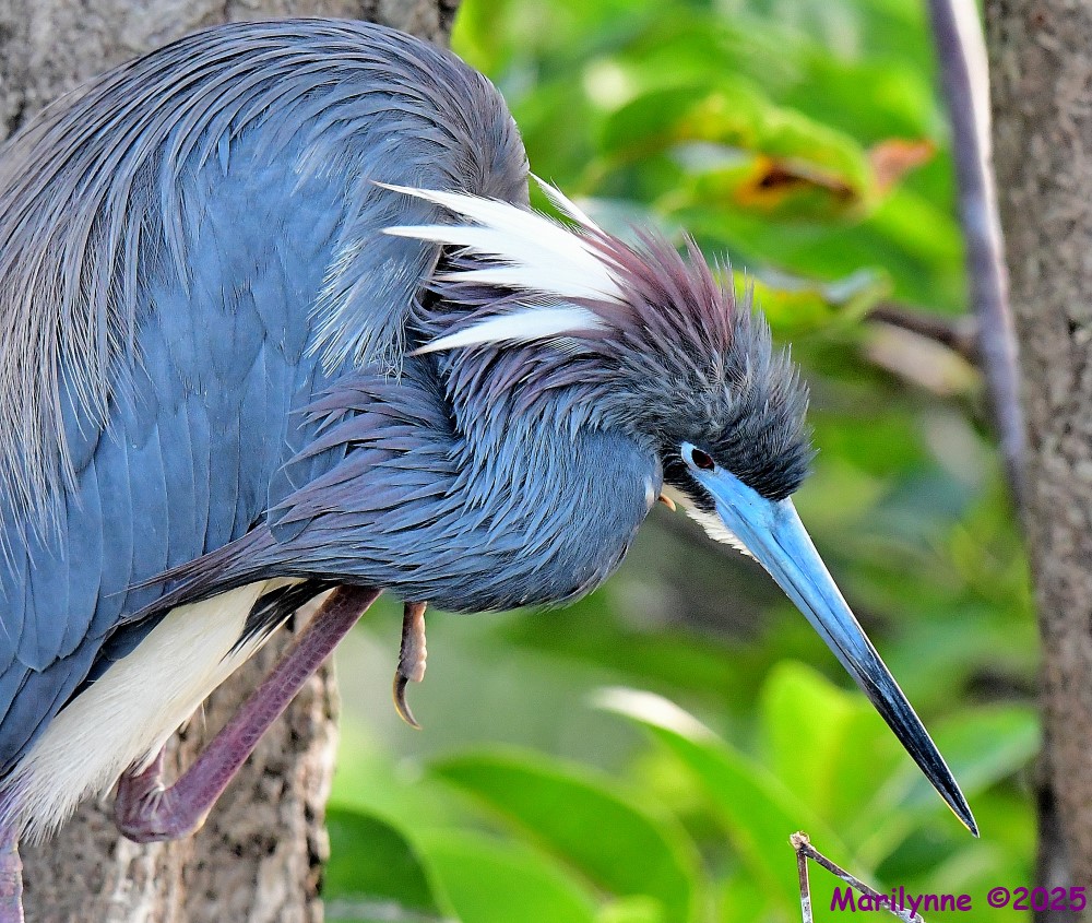 DSC_7210_001.JPG