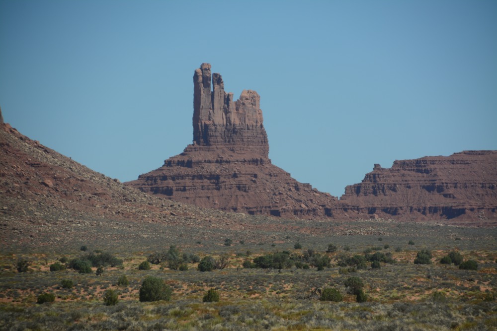DSC_7211.JPG