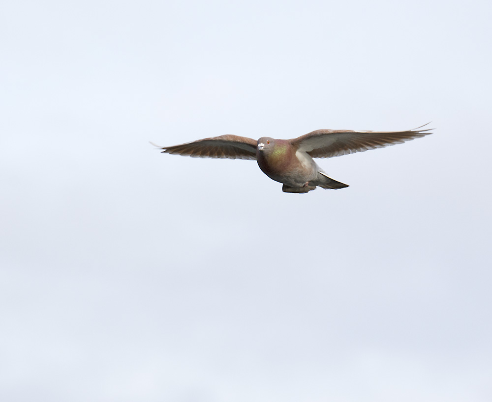 DSC_7213.jpg