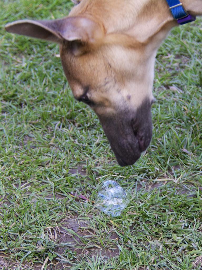 DSC_7214.jpg
