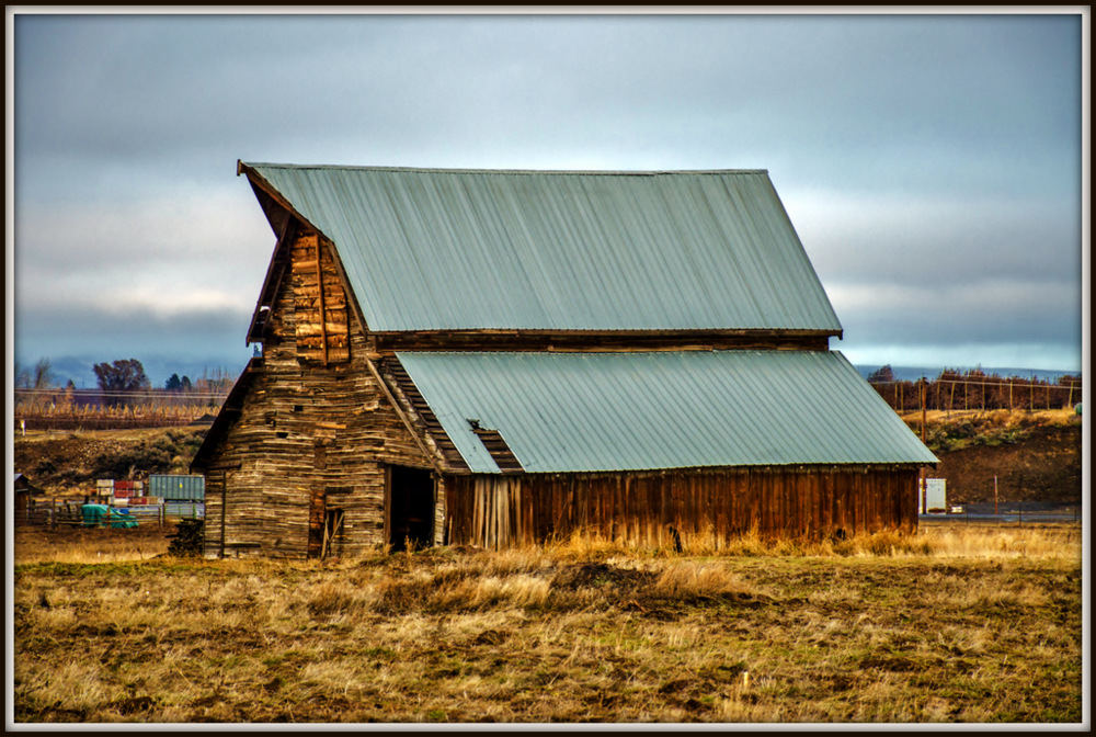 DSC_7217.jpg