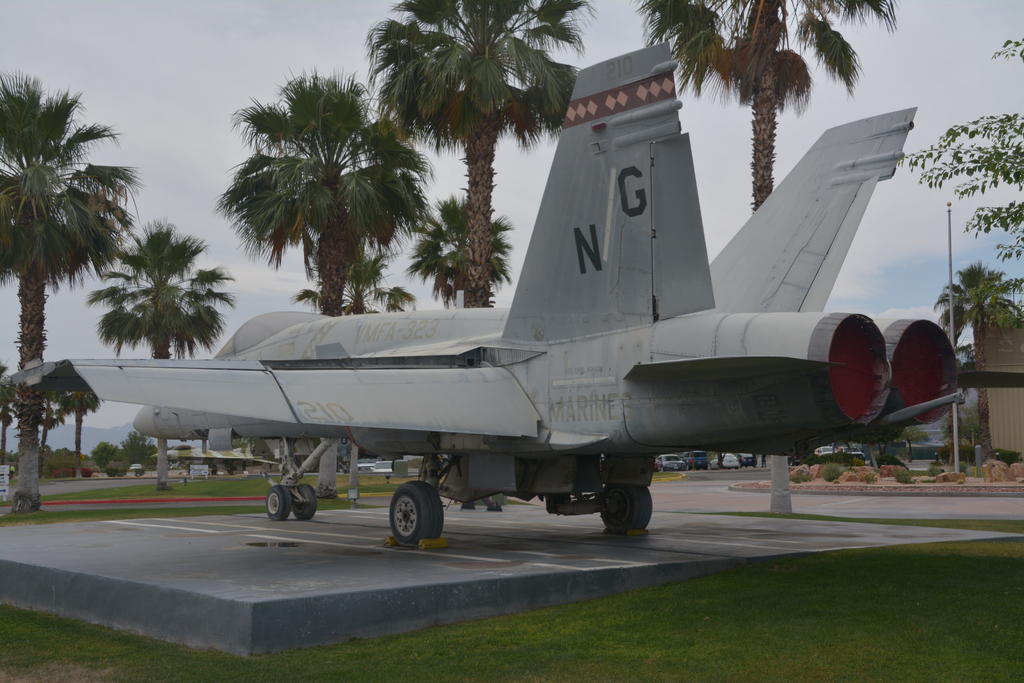 DSC_7217.jpg