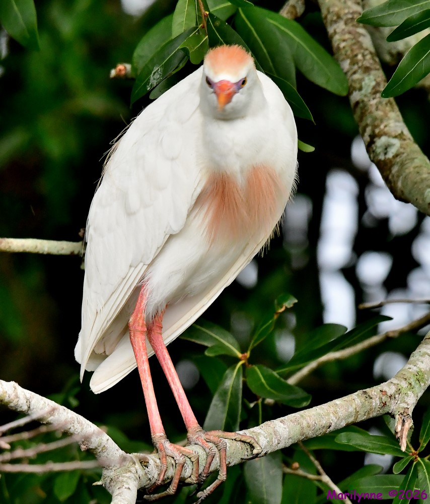 DSC_7219_001.JPG