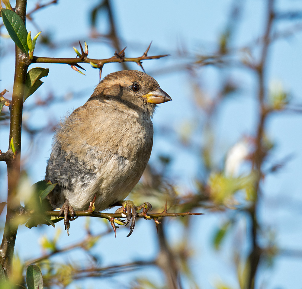 DSC_7220.jpg