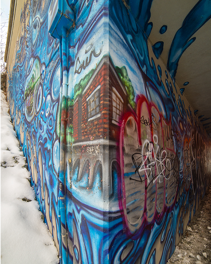 DSC_7227.jpg