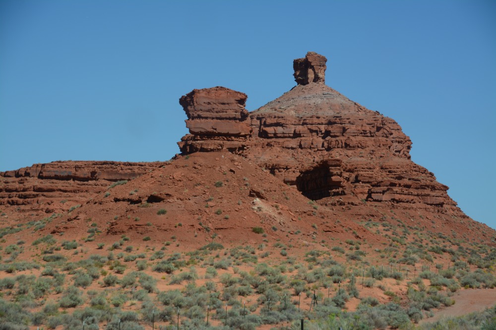 DSC_7233.JPG