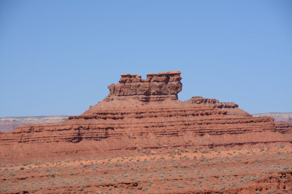 DSC_7237.JPG
