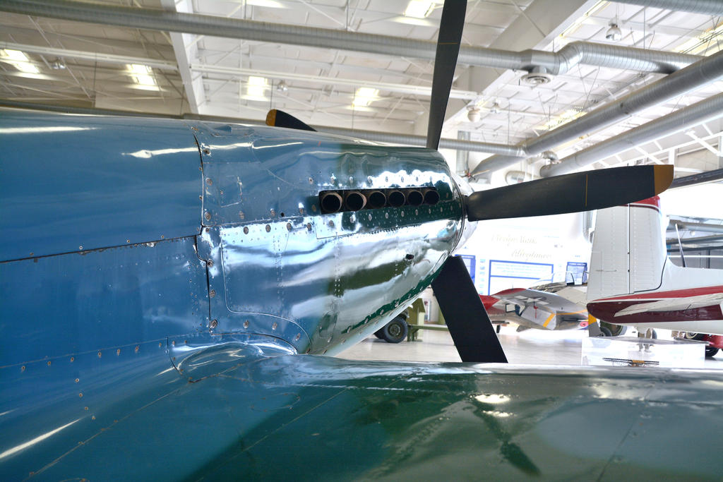 DSC_7239.jpg