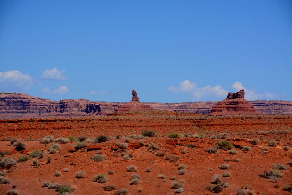 DSC_7241.JPG