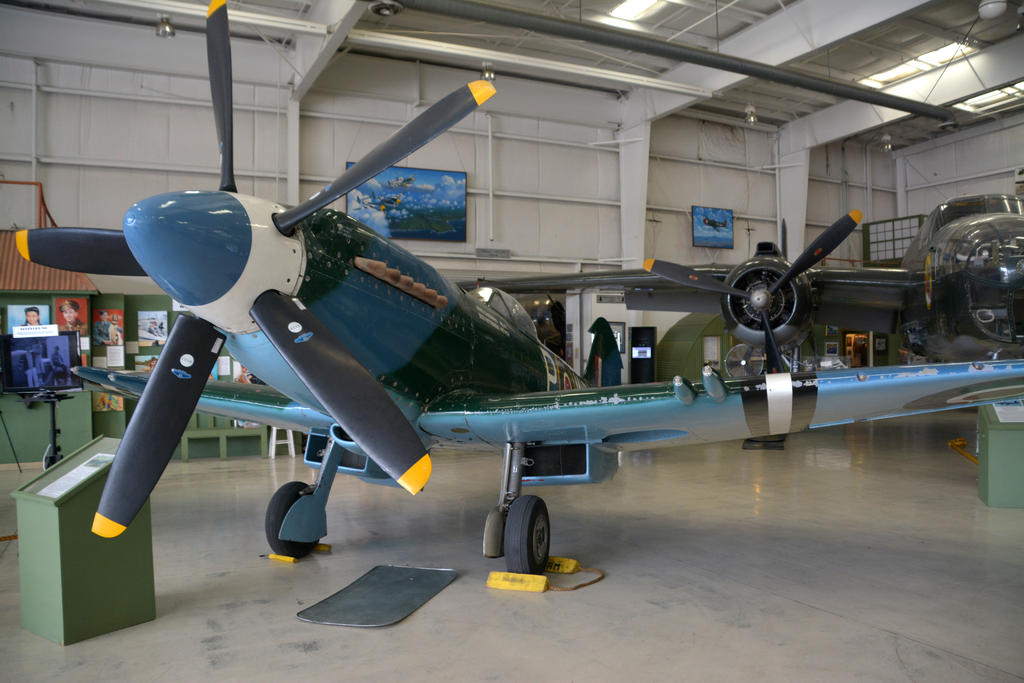 DSC_7242.jpg