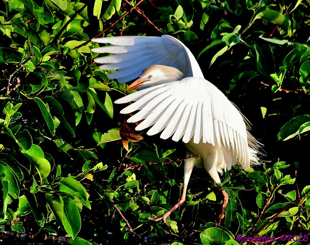 DSC_7250_001.JPG