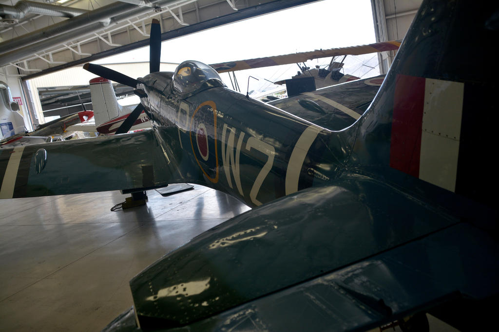 DSC_7253.jpg