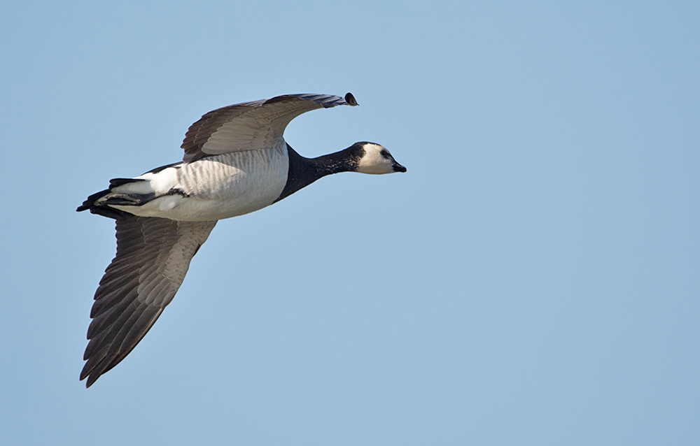 DSC_7258.jpg