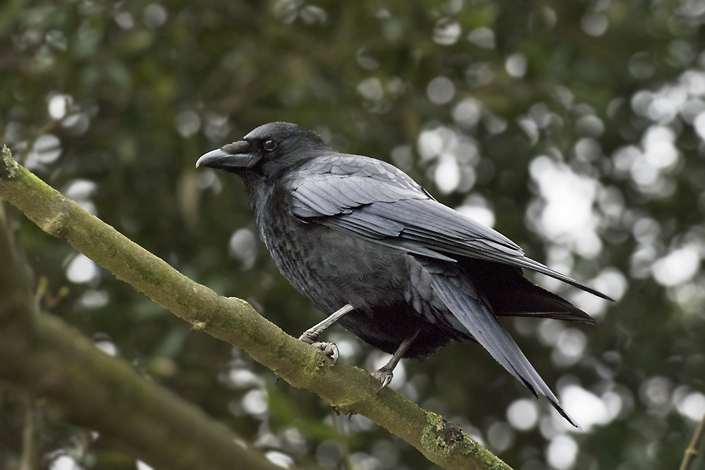 DSC_7261.jpg