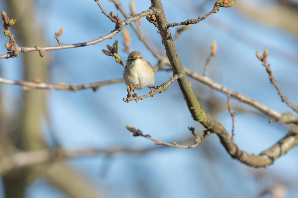 DSC_7261.jpg