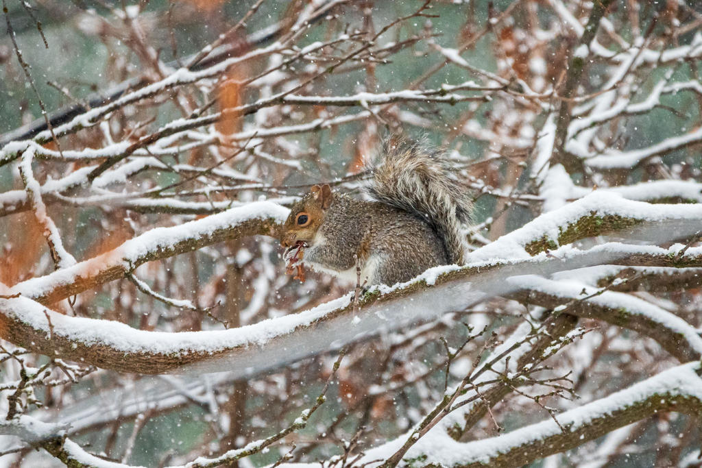 DSC_7262.jpg