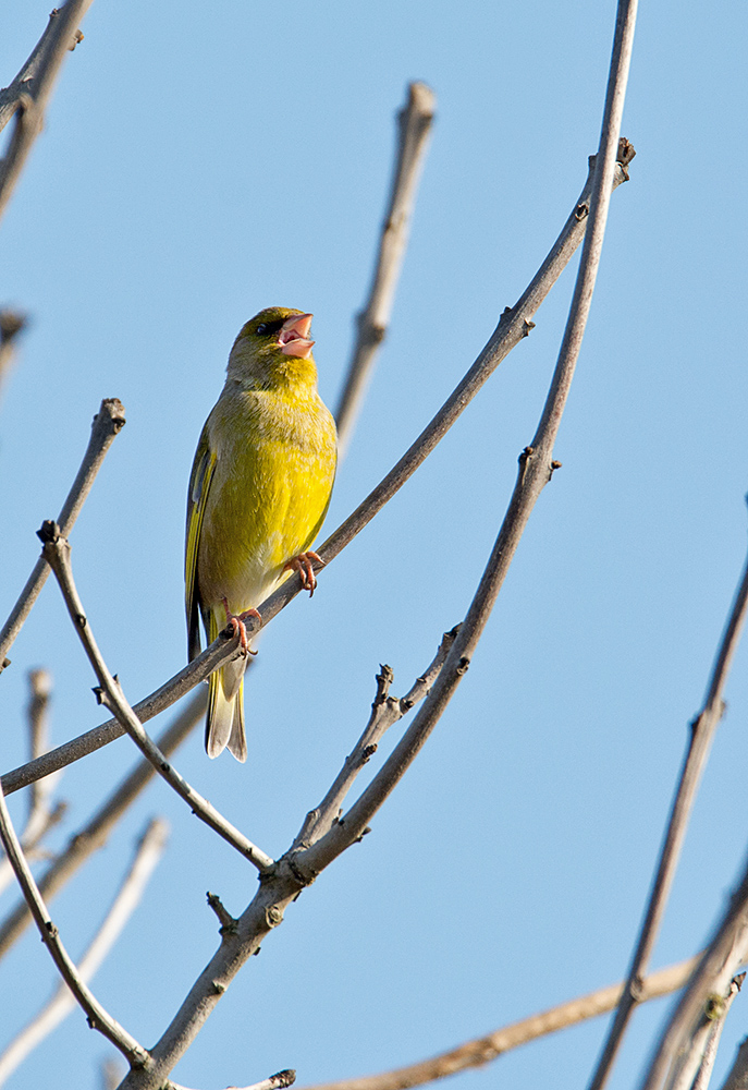 DSC_7272.jpg