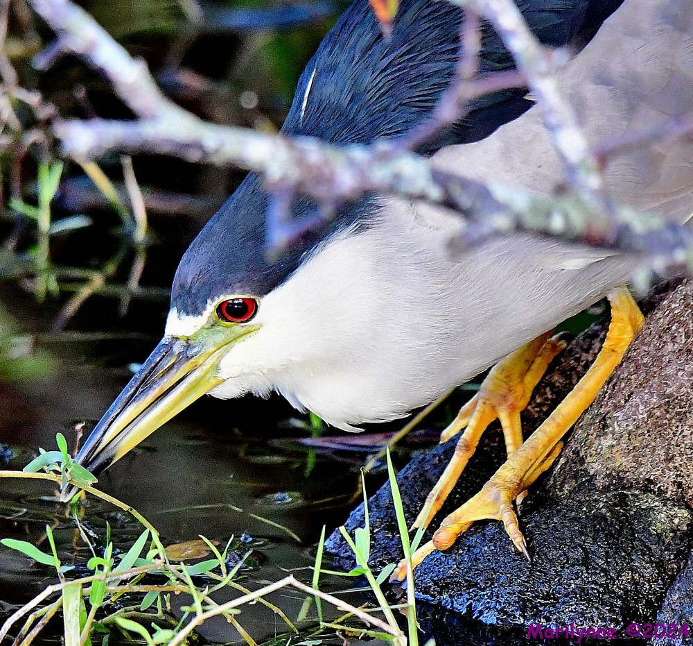 DSC_7272_001.JPG