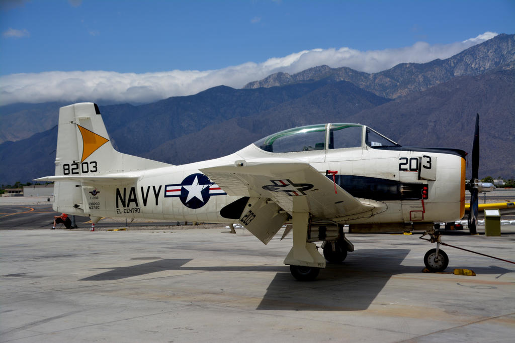 DSC_7281.jpg