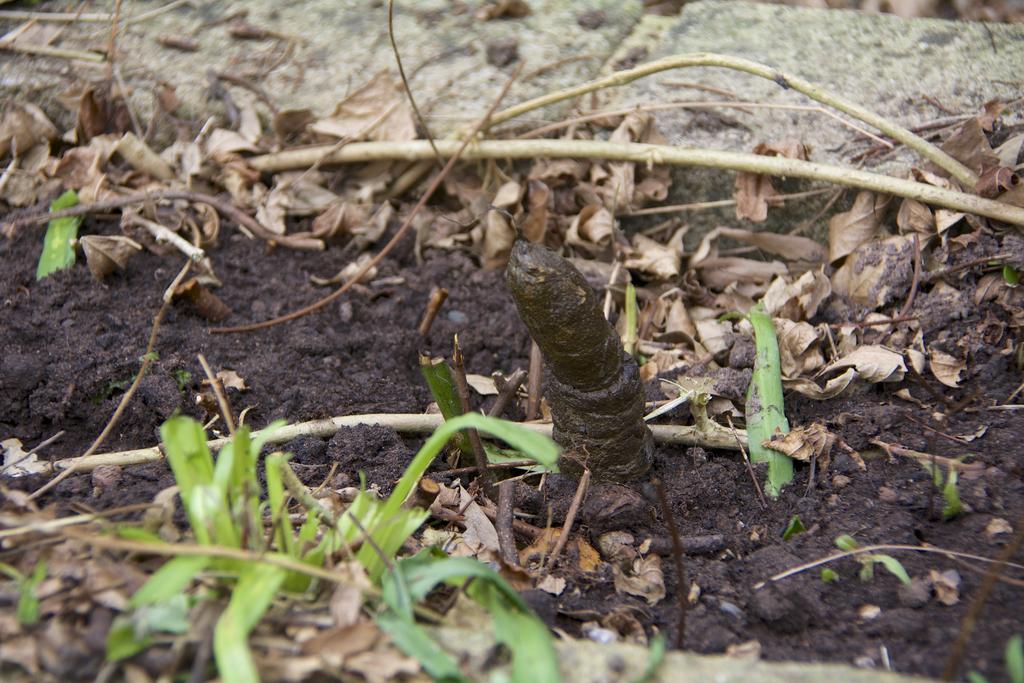 DSC_7281.jpg