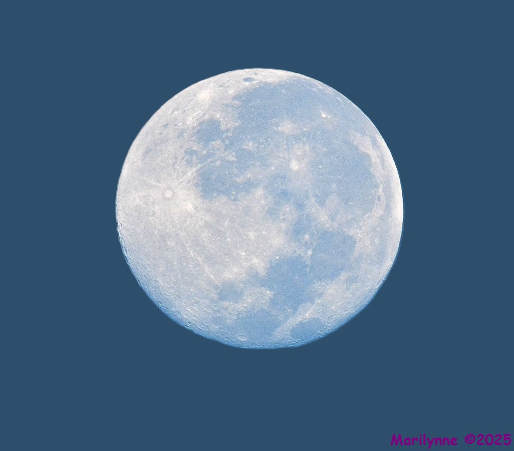 DSC_7282_001.JPG