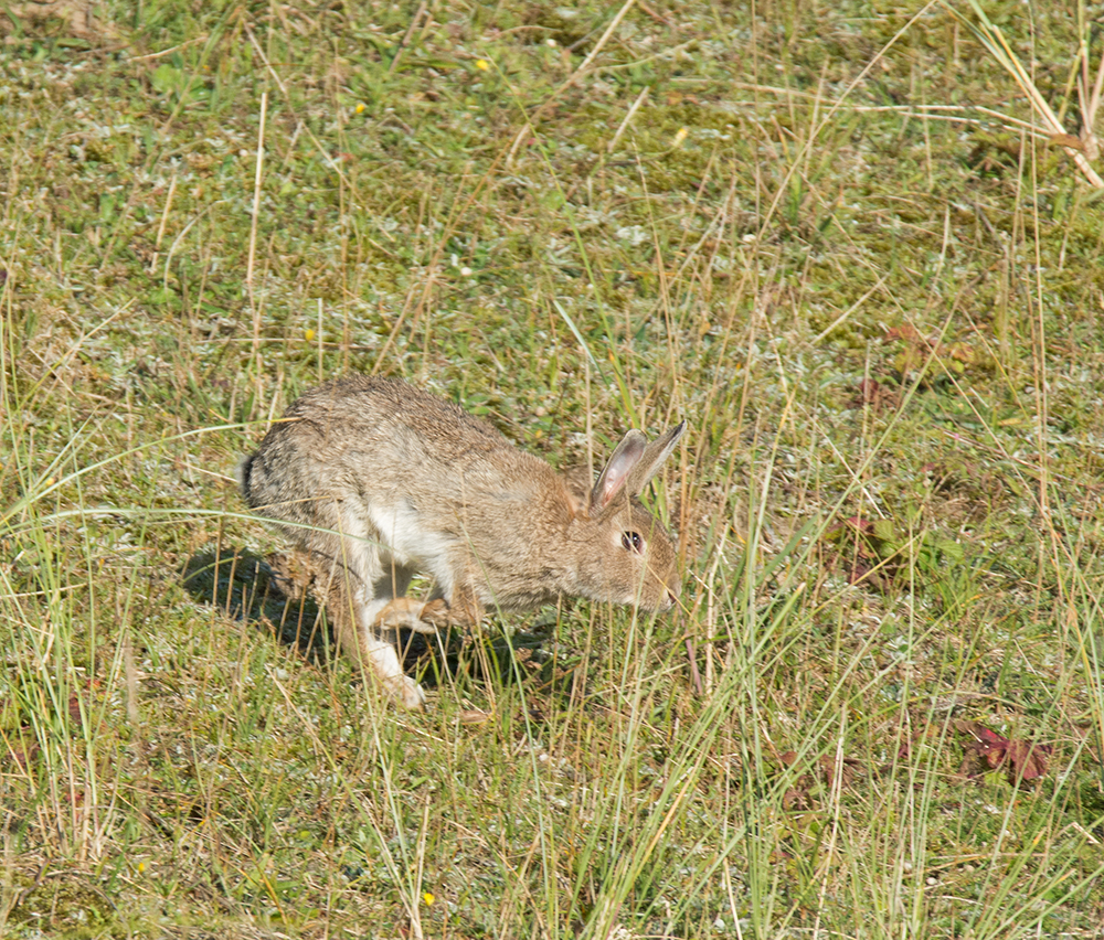 DSC_7284.jpg