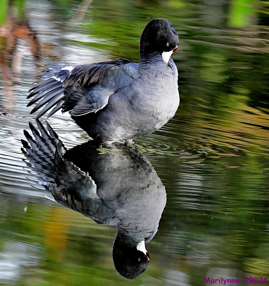 DSC_7285_001.JPG