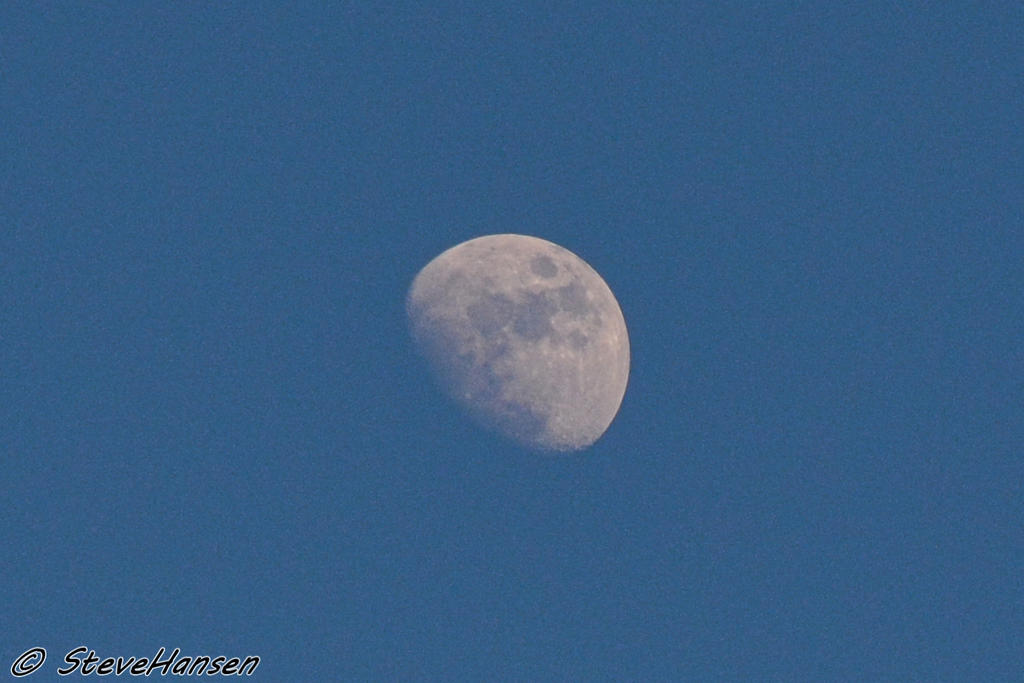 DSC_7287.jpg