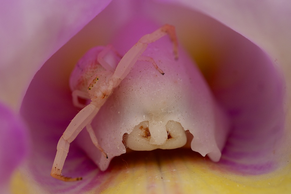 DSC_7287.jpg