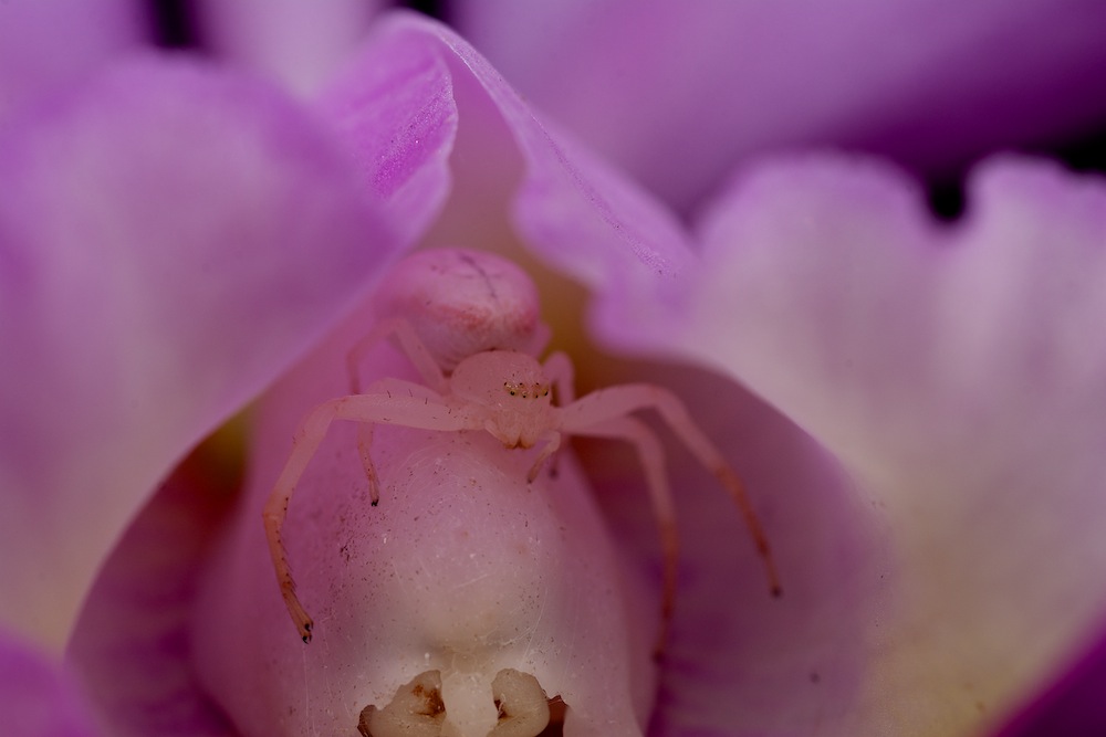 DSC_7291.jpg