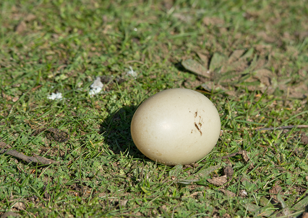 DSC_7298.jpg